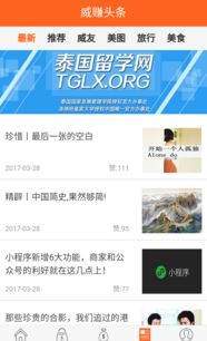 威賺 北京國聯(lián)中微網(wǎng)絡(luò)技術(shù)股份公司產(chǎn)品與服務(wù)解析
